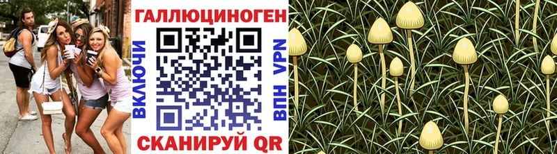 KRAKEN   наркотики  Зея  Галлюциногенные грибы ЛСД 